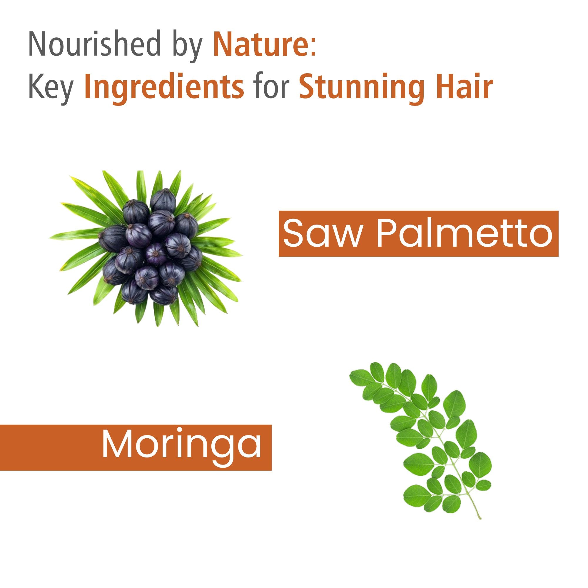 Vitamin-E Hair Serum with Macadamia Oil for Frizzy Hair & Healthier Hair Growth - 100ml