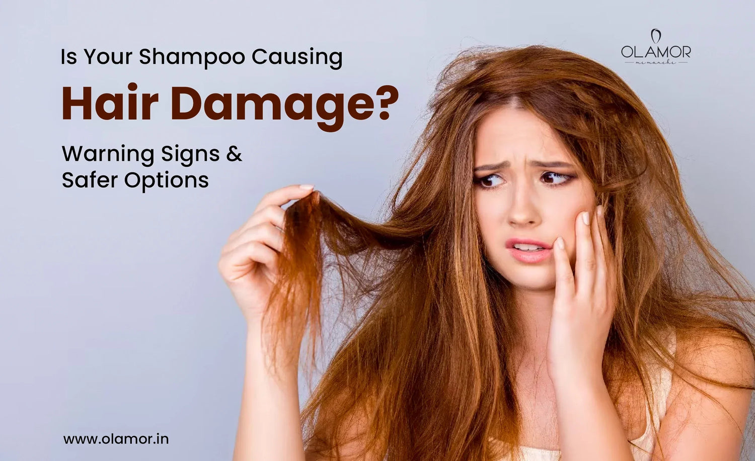 hair dandruff shampoo - olamor cosmetic
