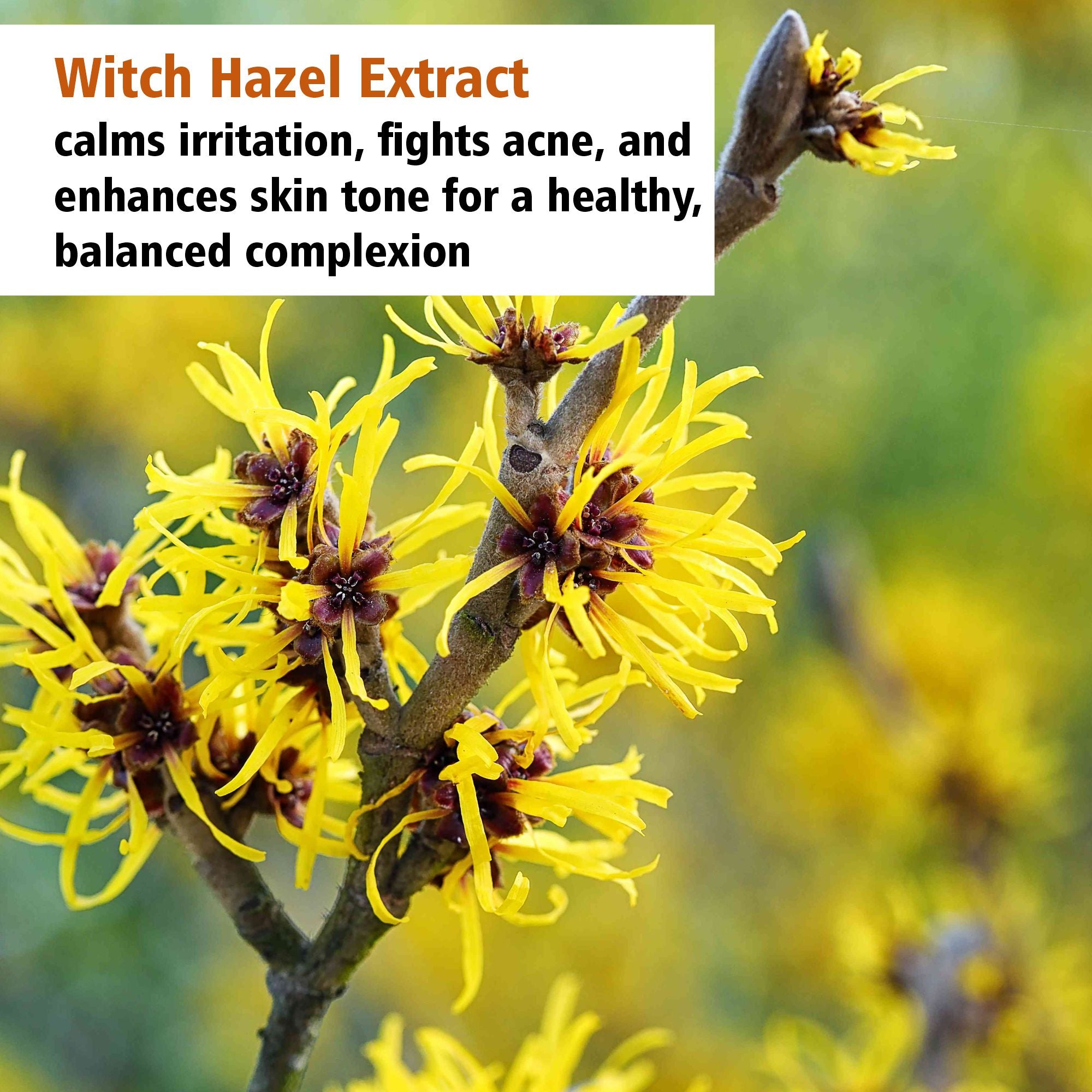 Vitamin C Face Serum - Improves Skin Whitening Tone - 30ml