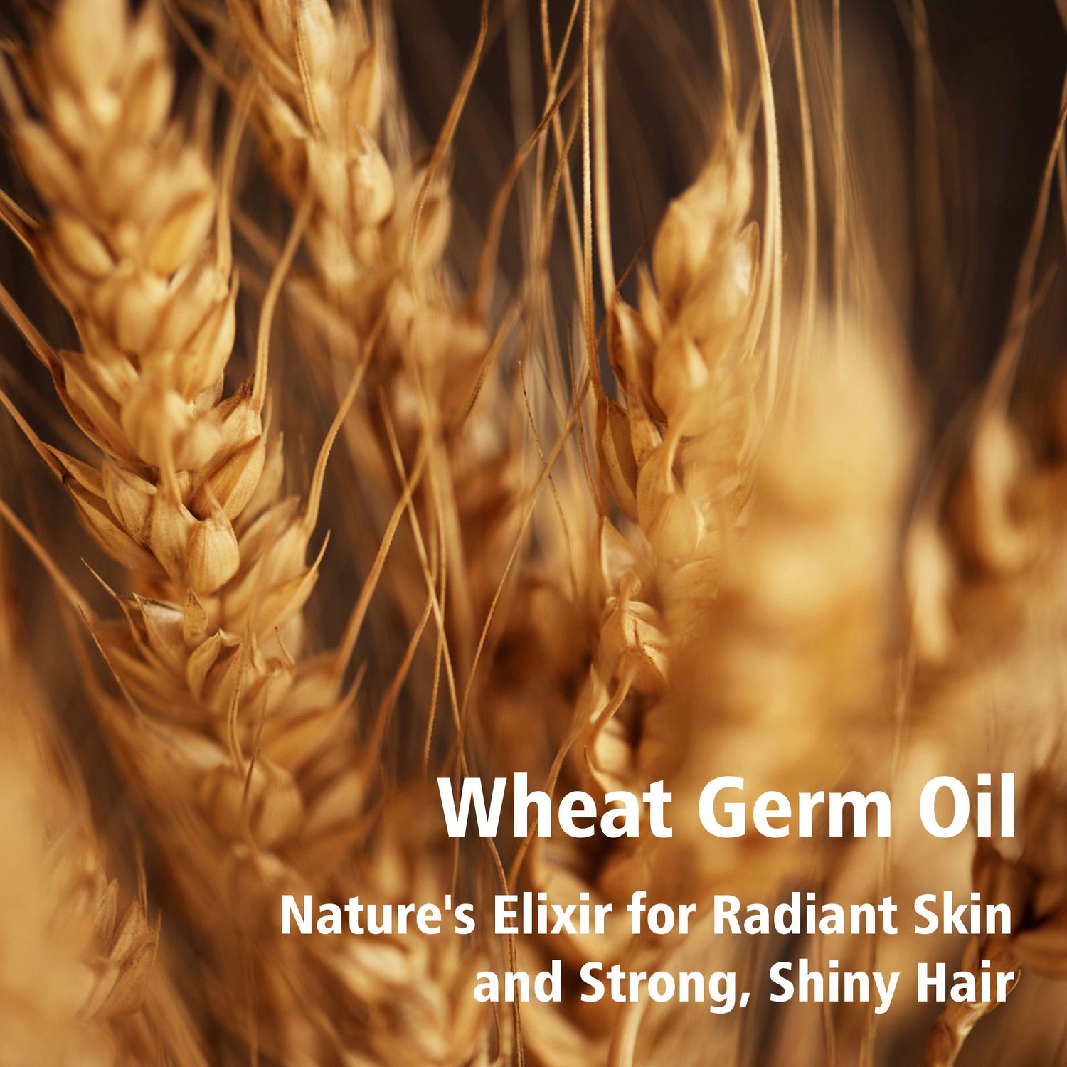 Olamor OC 01 Clarifying Shampoo - 1 L