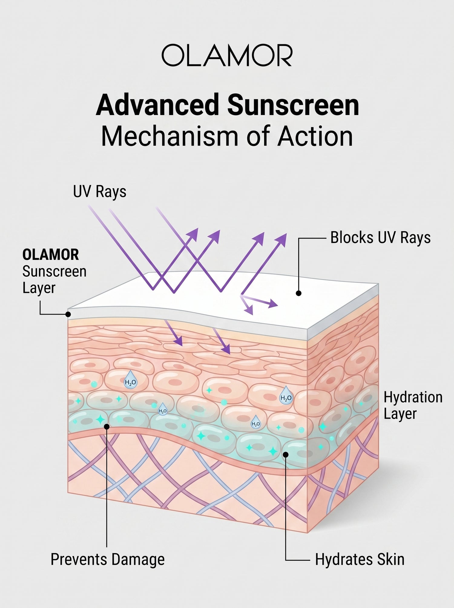 OLAMOR Advanced Sunscreen SPF 50+ 500g |Broad Spectrum UVA/UVB Protection with Vitamin E &amp; Moisture|Lightweight|Non-Greasy Sunblock for Healthy|Radiant Skin – All Skin Types|Travel Friendly