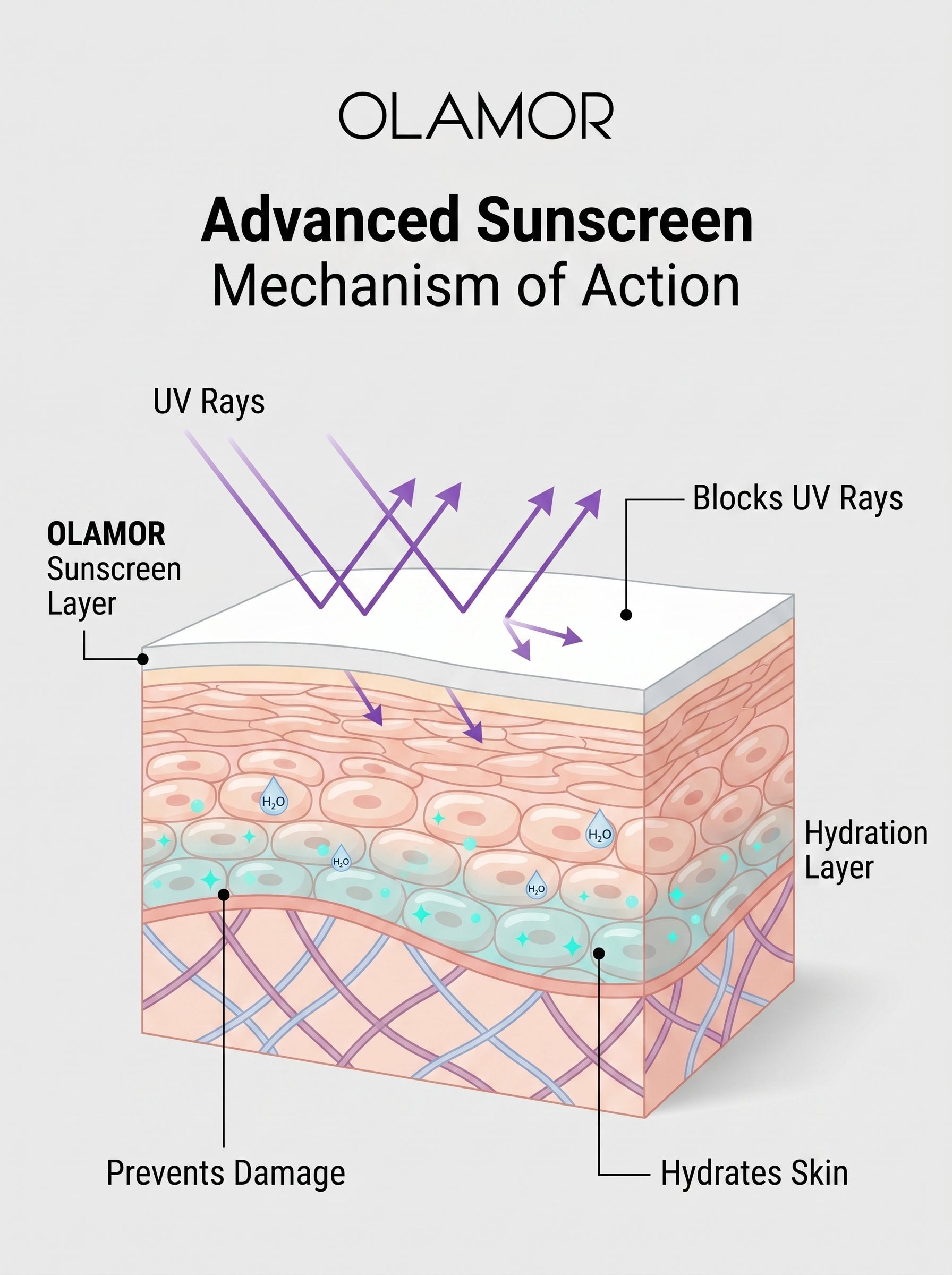 OLAMOR Advanced Sunscreen SPF 50+ 500g |Broad Spectrum UVA/UVB Protection with Vitamin E &amp; Moisture|Lightweight|Non-Greasy Sunblock for Healthy|Radiant Skin – All Skin Types|Travel Friendly